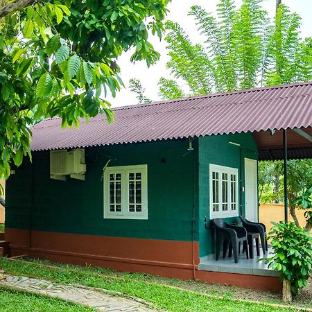 The Nest Thattekad Thattakad Luaran gambar
