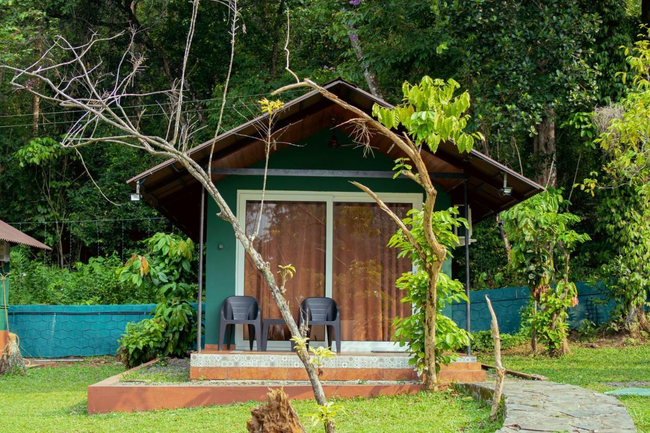 The Nest Thattekad Thattakad Luaran gambar