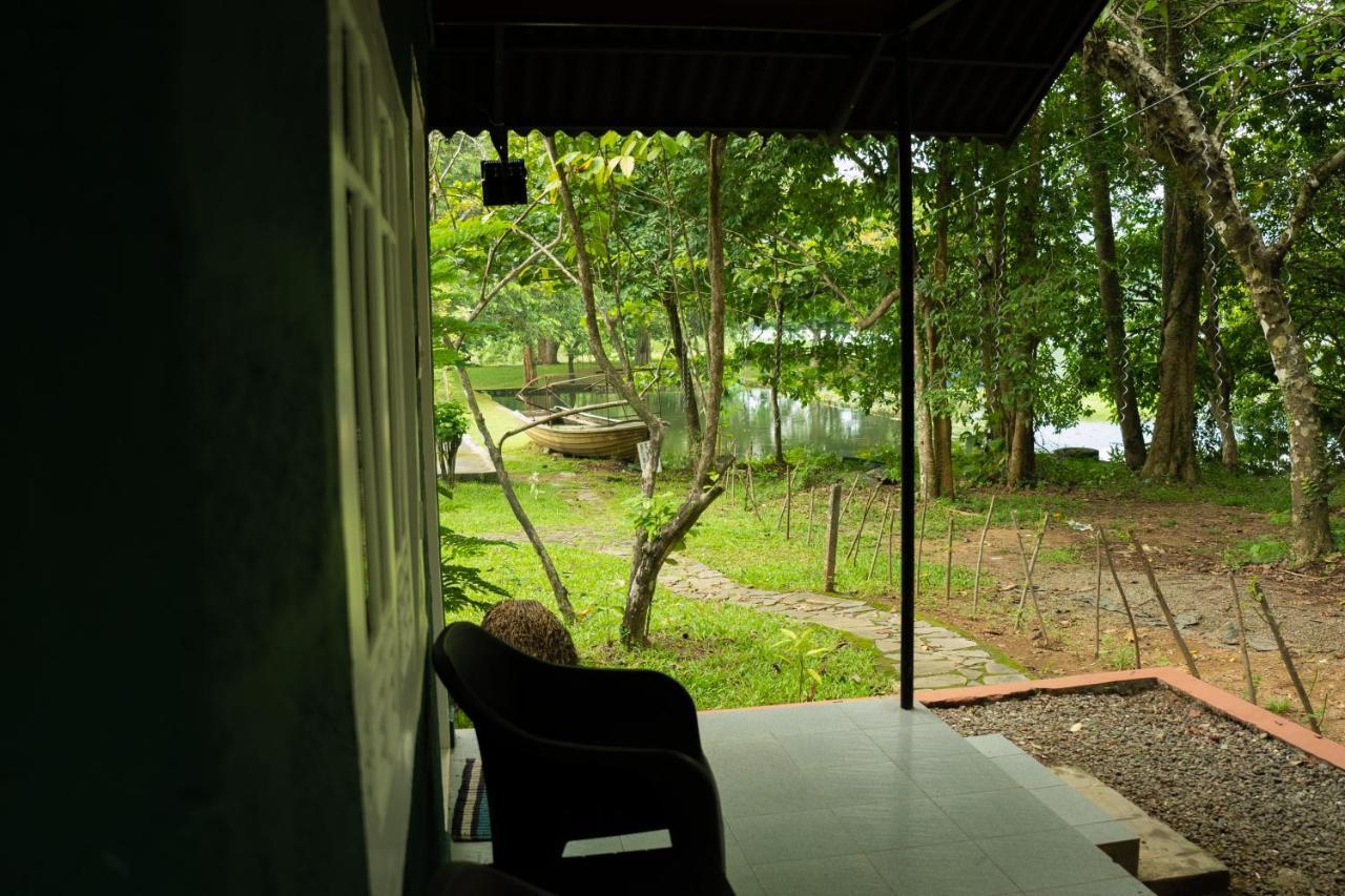 The Nest Thattekad Thattakad Luaran gambar
