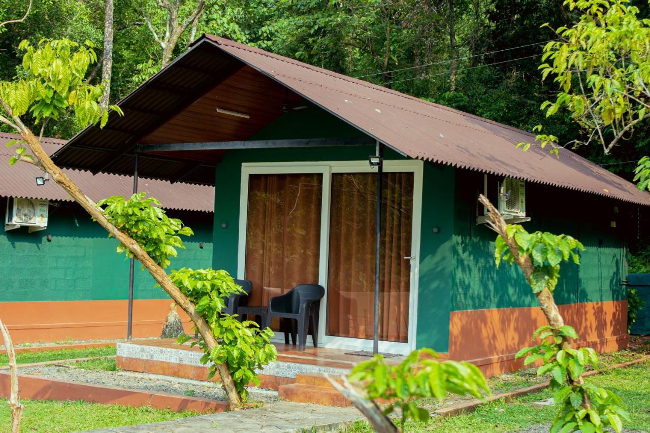 The Nest Thattekad Thattakad Luaran gambar