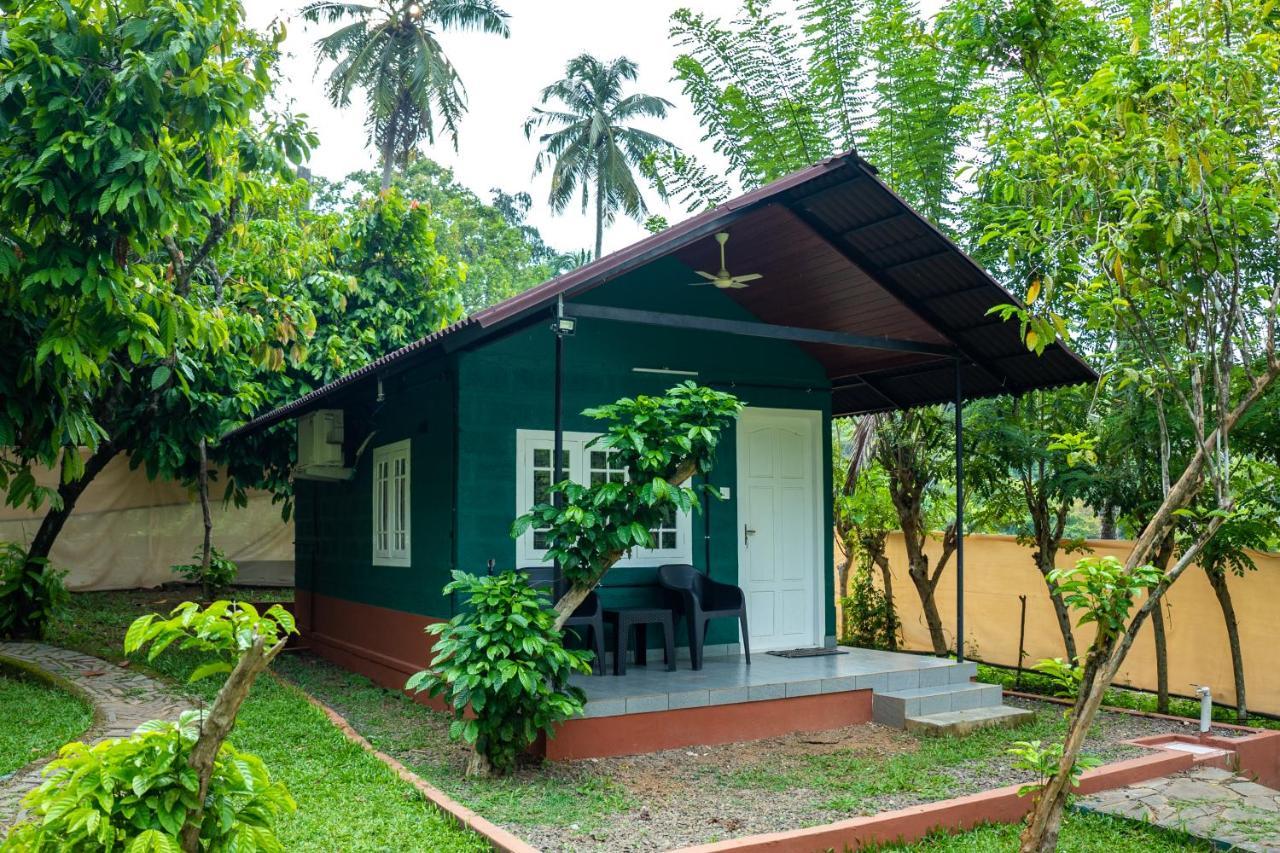 The Nest Thattekad Thattakad Luaran gambar