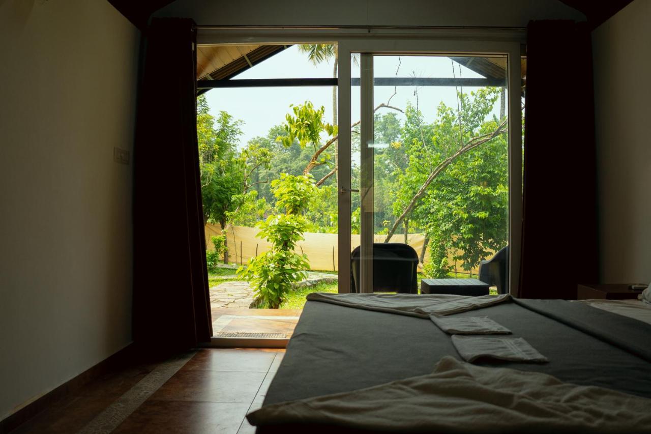 The Nest Thattekad Thattakad Luaran gambar