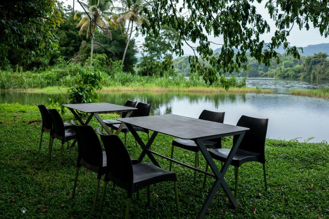 The Nest Thattekad Thattakad Luaran gambar