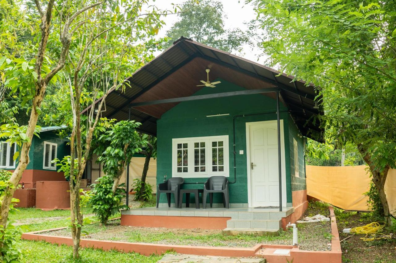 The Nest Thattekad Thattakad Luaran gambar